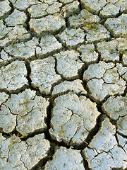 Image showing Parched earth