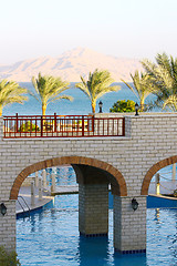 Image showing Palm trees, Red Sea, mount, bridges and swimming pool