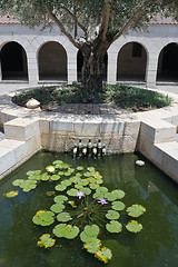 Image showing The Church of the First Feeding of the Multitude at Tabgha, pati