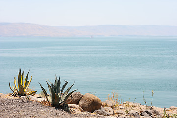 Image showing The shore of lake Kinneret