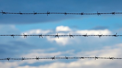 Image showing Barbed Wire