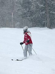 Image showing Skier