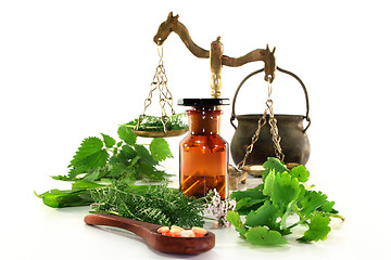 Image showing Naturopathy