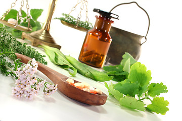 Image showing Homeopathy