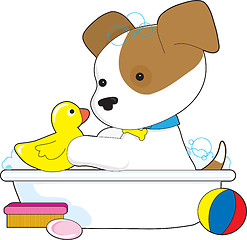 Image showing Cute Puppy Bath