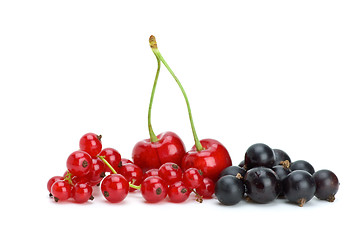 Image showing Redcurrants,blackcurrants and red cherries