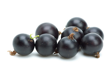 Image showing Some blackcurrants