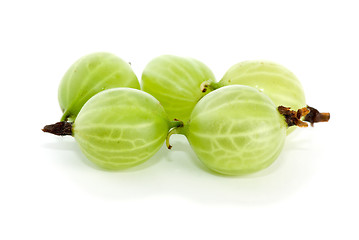 Image showing Close-up shot of few gooseberries