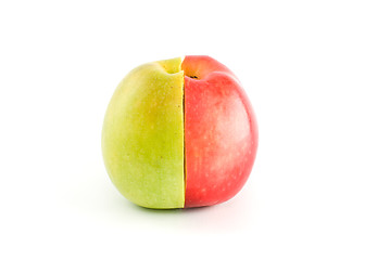 Image showing Half of red and green apples form a whole fruit