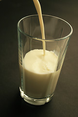 Image showing Milk