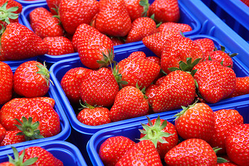 Image showing Fresh strawberries