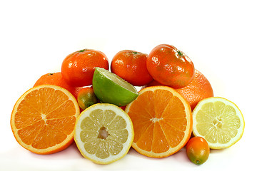 Image showing Citrus Fruits