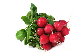 Image showing Radishes