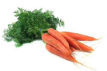 Image showing Carrots