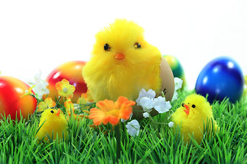 Image showing Easter Chicks