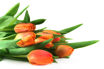 Image showing Tulip bouquet