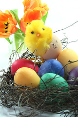 Image showing Easter Chicks