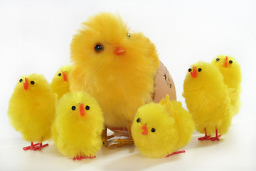 Image showing Easter Chicks