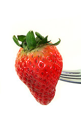 Image showing Strawberry