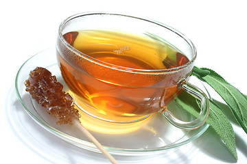 Image showing Sage tea