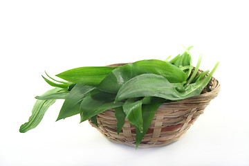 Image showing Wild garlic