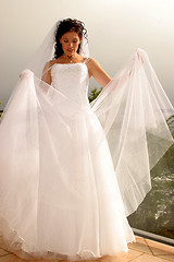 Image showing Wedding Bride