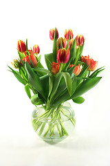 Image showing Tulip bouquet