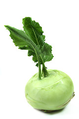 Image showing Kohlrabi