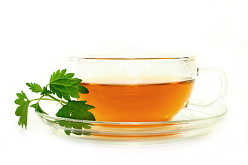 Image showing Nettle tea