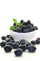 Image showing Blueberries