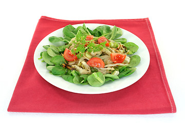 Image showing Fennel salad