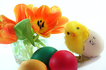 Image showing Easter Chicks