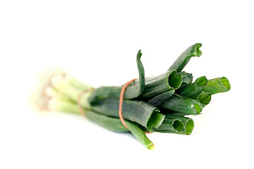 Image showing Spring onions