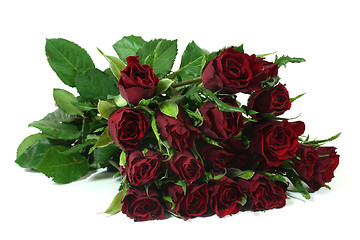 Image showing Red Roses