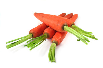 Image showing Carrots