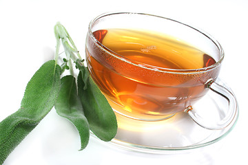 Image showing Herbal Tea