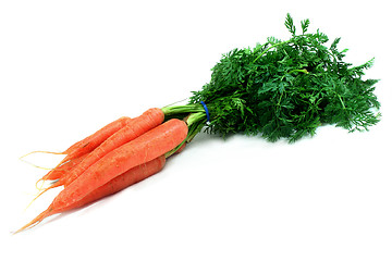 Image showing Carrotts