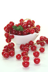 Image showing Currants