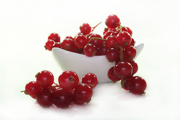 Image showing Currants