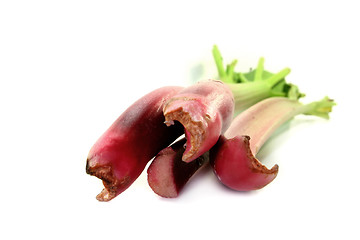 Image showing Rhubarb