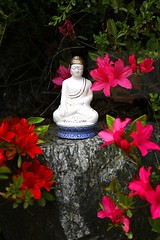 Image showing Buddha's birthday