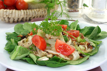 Image showing Fennel salad