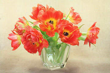 Image showing Tulip bouquet