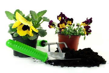 Image showing Gardening