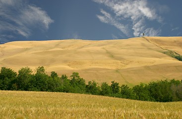 Image showing Hills of Le Crete-Tuscany, Italy