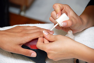 Image showing Manicure