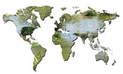 Image showing ecology in the world