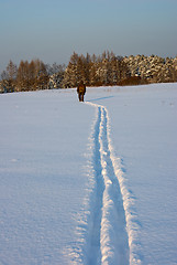 Image showing Cross Country Skiing