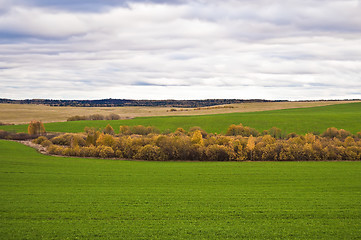 Image showing Autumn Landscape