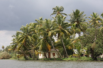 Image showing Kerala backwaters